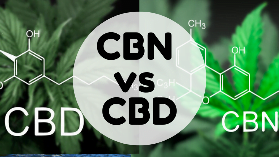 CBN Vs CBD: How Are The Benefits Different? - California Business Journal