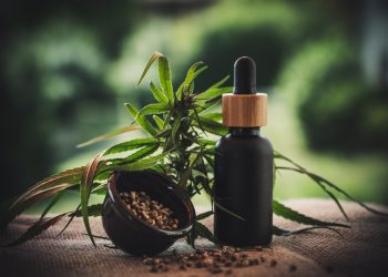 CBN vs CBD How Are the Benefits Different