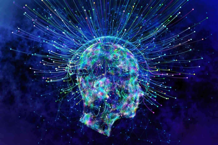 mind-consciouness-neuroscience