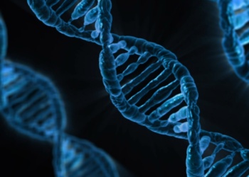 106-Genetics vs Genomics Explained