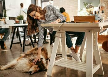 The Business Benefits of Becoming a Dog-Friendly Office