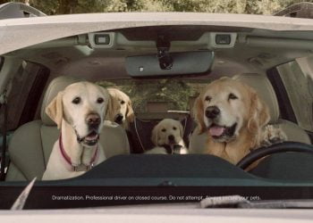 Dogs in Subaru ads