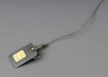 Why Is SIM Security Essential to Data Security