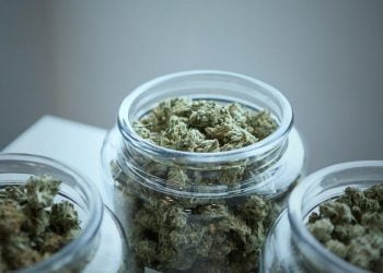 Tips for Finding the Best Online Weed Store