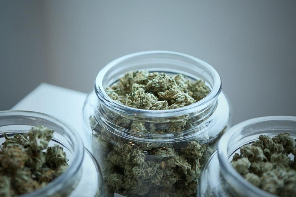 Medicinal Marijuana Corner: 6 Tips for Finding the Best Online Weed Store -  California Business Journal