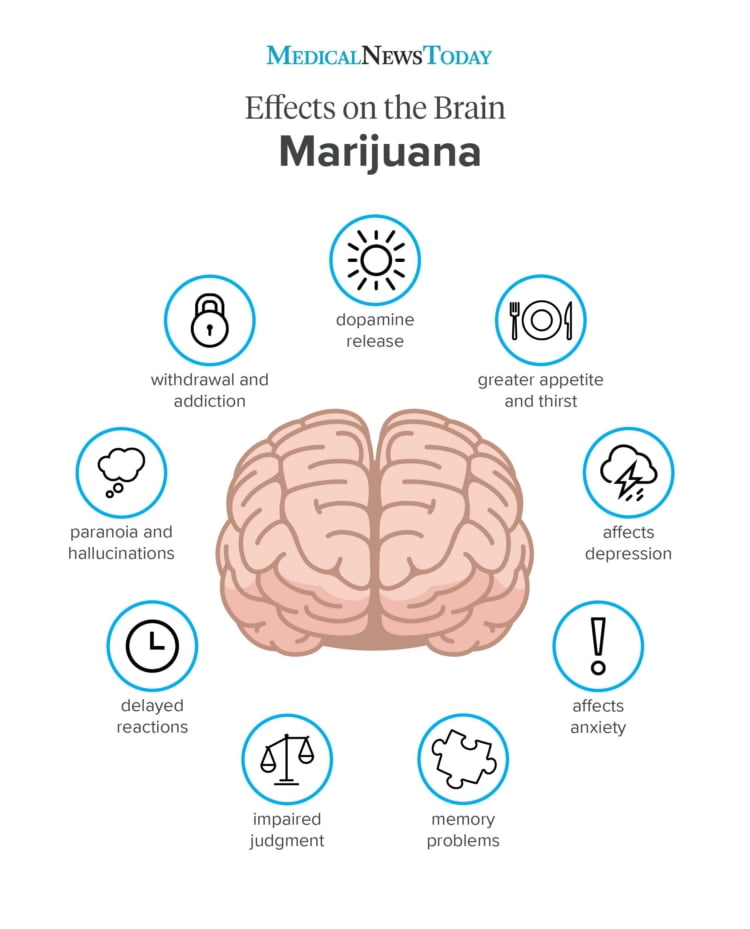 marijuana-effects-on-the-brain