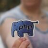 Does PHP have a future as a programming language?