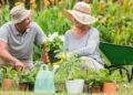 5 Ways Gardening Improves Mental Health