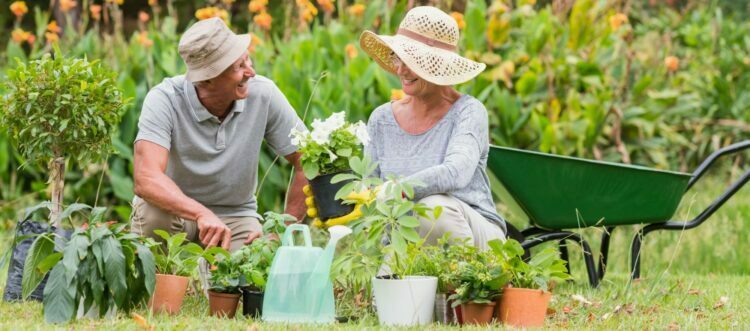 5 Ways Gardening Improves Mental Health