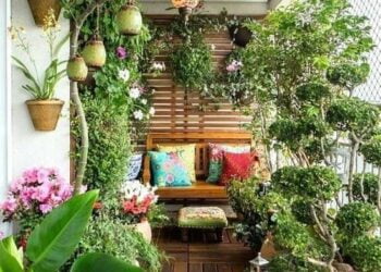 How to build a garden in your apartment