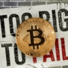 Is Bitcoin Too Big To Fail, Details Inside