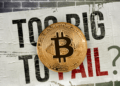 Is Bitcoin Too Big To Fail, Details Inside