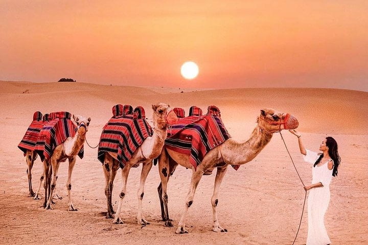 7 Experiences that Can Make Your Desert Safari Memorable