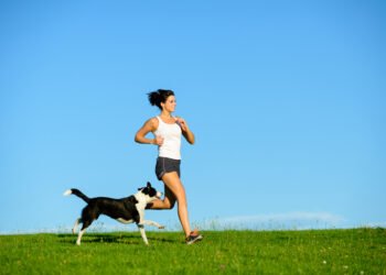 Why Dog Fitness is So Important
