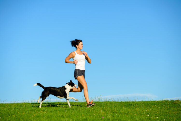 Why Dog Fitness is So Important