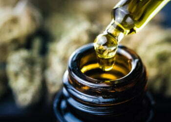 Cannabis Extracts vs. Concentrates: How To Maximize Your Consumption