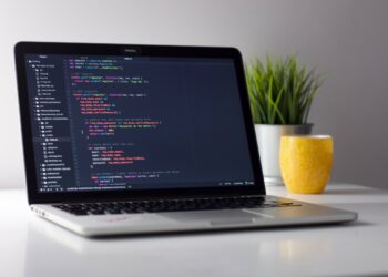 Which Programming Language to Learn This Year? Top 4 Choices