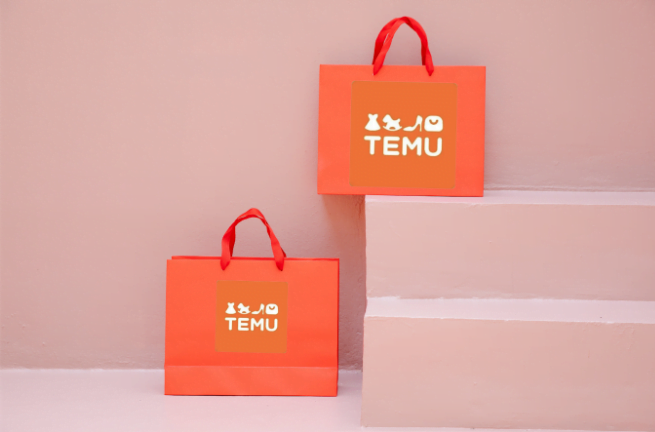 Temu 101: Everything You Need to Know