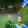 The link between CBD and Blood Pressure: What Does Science Say?