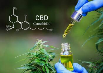 The link between CBD and Blood Pressure: What Does Science Say?