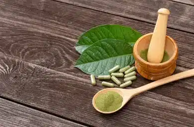 fresh green kratom leaf mitragyna 260nw 1986224435 e1718397708713