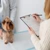 The Benefits of Using a Prescription Discount Card for Pet Medications