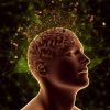 The Hidden Language of Dreams What Science Reveals About Your Subconscious Mind