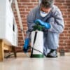 The 4 Common Factors That Attract Pests to Your Vacant House