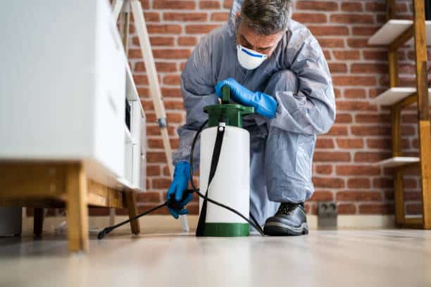 The 4 Common Factors That Attract Pests to Your Vacant House