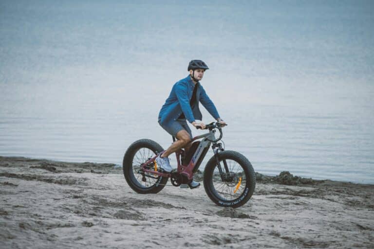 Fat Tire Electric Bikes for Daily Commuting