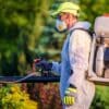 Effective Pest Solutions for a Pest-Free Home